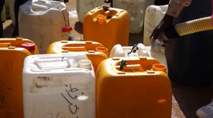 Волонтёрство без границ: как добровольцы меняют мир