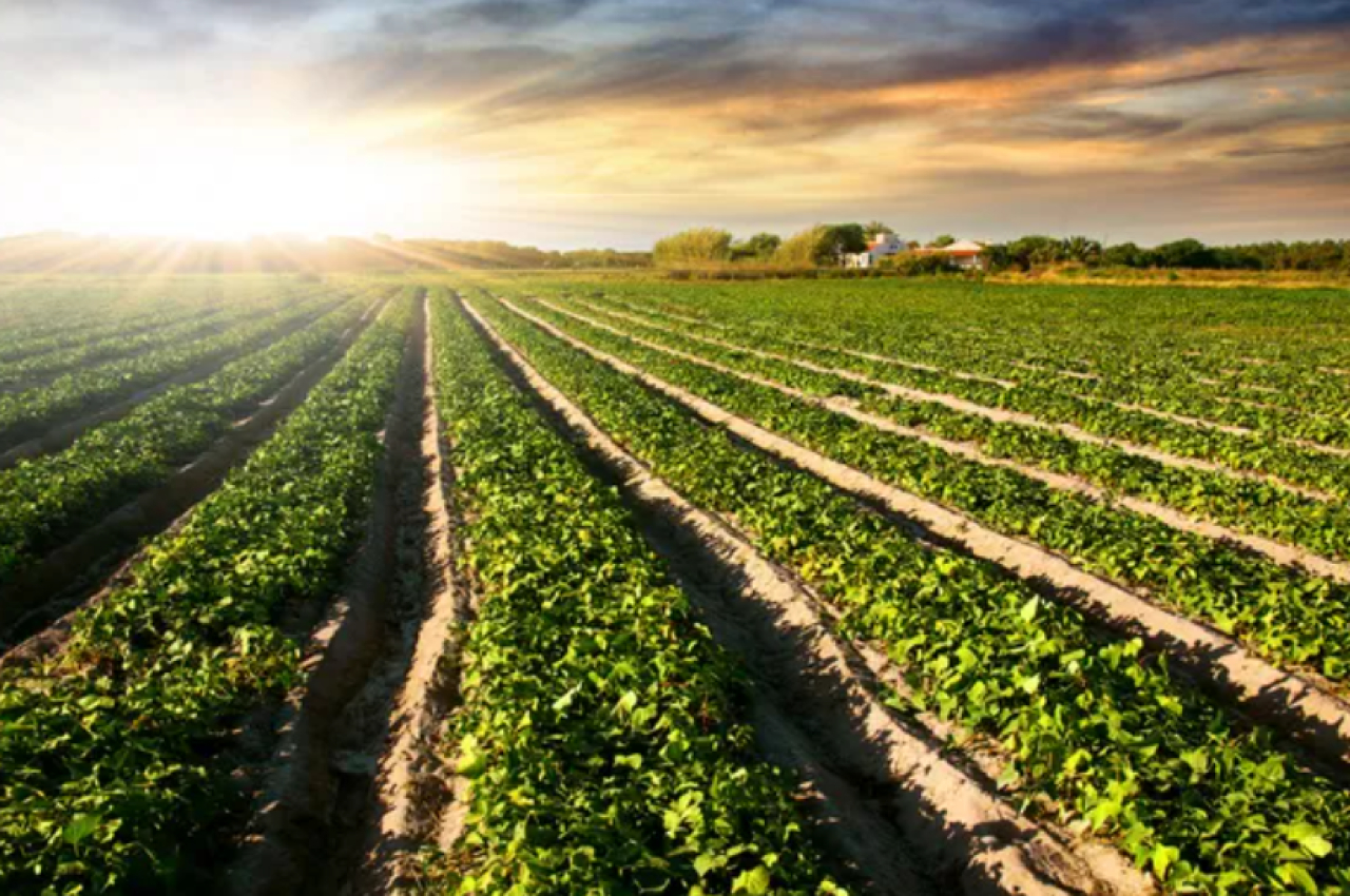 Поливной период завершился в Казахстане