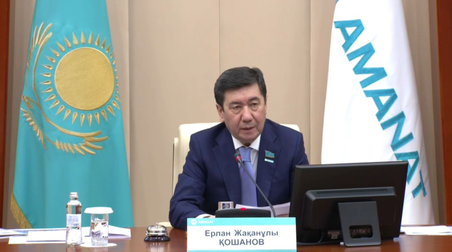 «AMANAT» партиясының фракциясы Жаңа Конституция жобасын қолдады