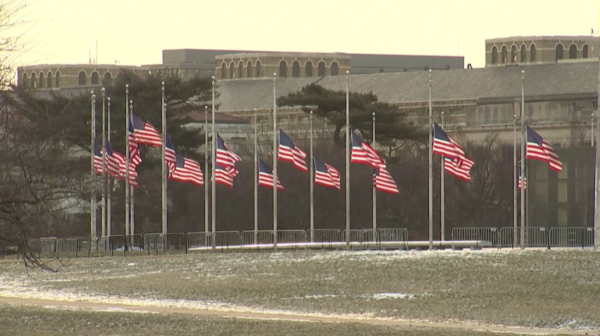 DOGE остановило работу агентства по финансированию библиотек и музеев США