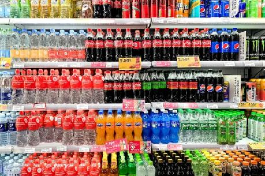 Новый завод в Алматинской области увеличит экспортный потенциал