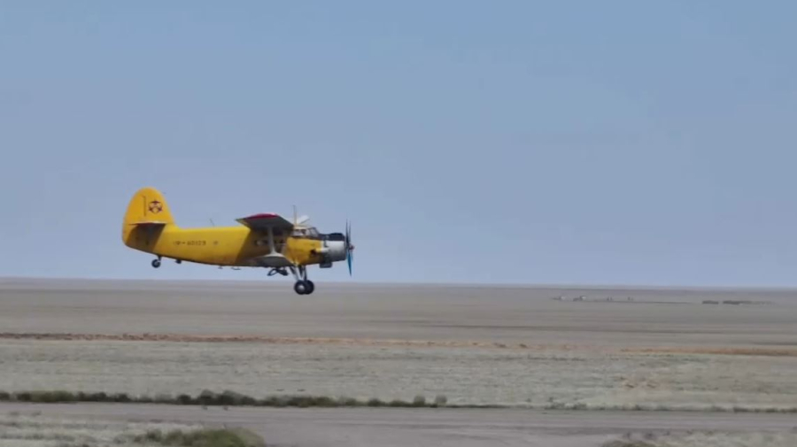 Ақтөбе облысының 9 ауданында шегірткелерді улау жұмыстары жүріп жатыр