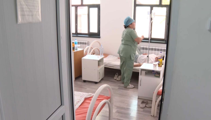 Шымкентте кене шаққан 530 адам дәрігер көмегіне жүгінді