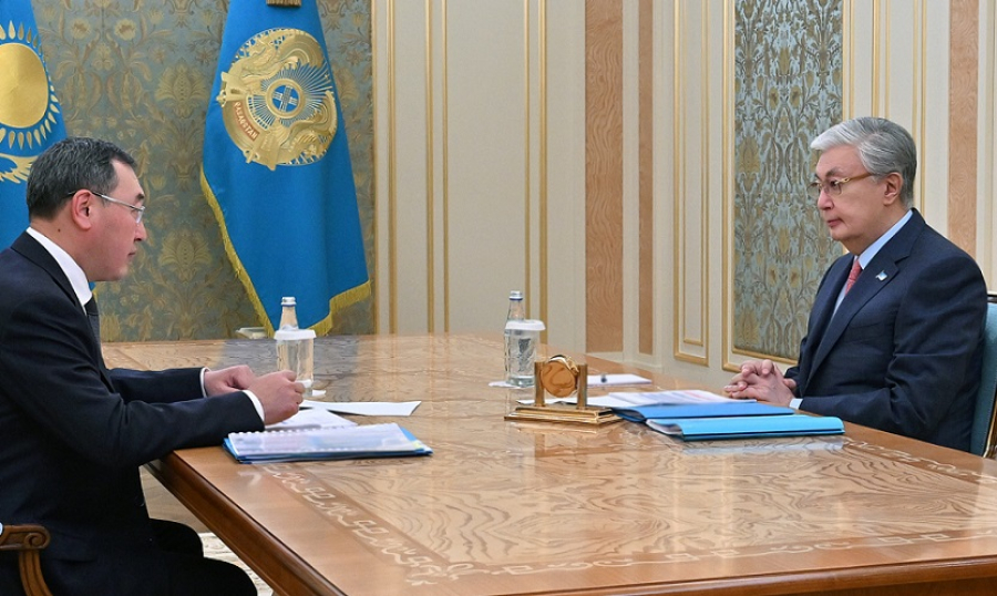 Президент дал поручения акиму Алматинской области