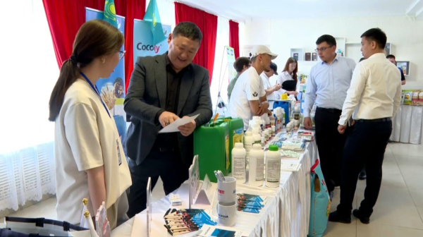 Новый сахарный завод построят в Туркестанской области