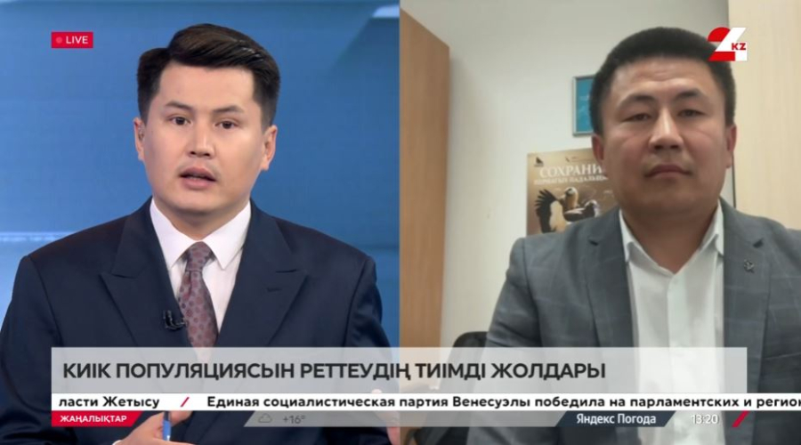 Киік популяциясын реттеудің тиімді жолдары. Асқар Абдрахманов