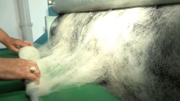 В селе Айдарлы приступили к переработке овечьей и верблюжьей шерсти