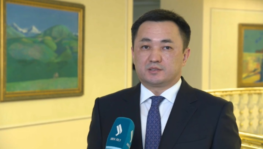 Дадебай: Президент лично работал над текстом новой Конституции