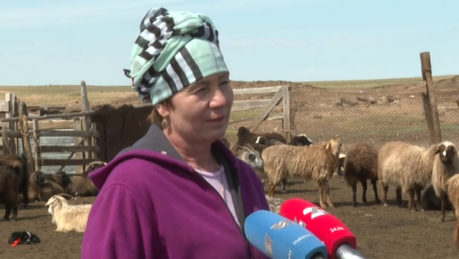 Казахские обычаи стали родными для жительницы Улытау