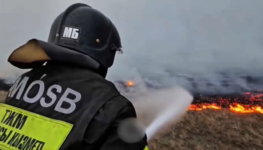 «Семей орманы» аумағындағы өрт сөндірілді