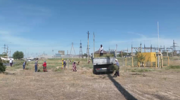 Түркістанда 30 тоннаға жуық қоқыс арнайы полигонға шығарылды