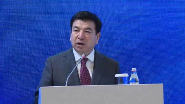 Ерлан Карин подвёл итоги работы Национального Курултая за 2024 год