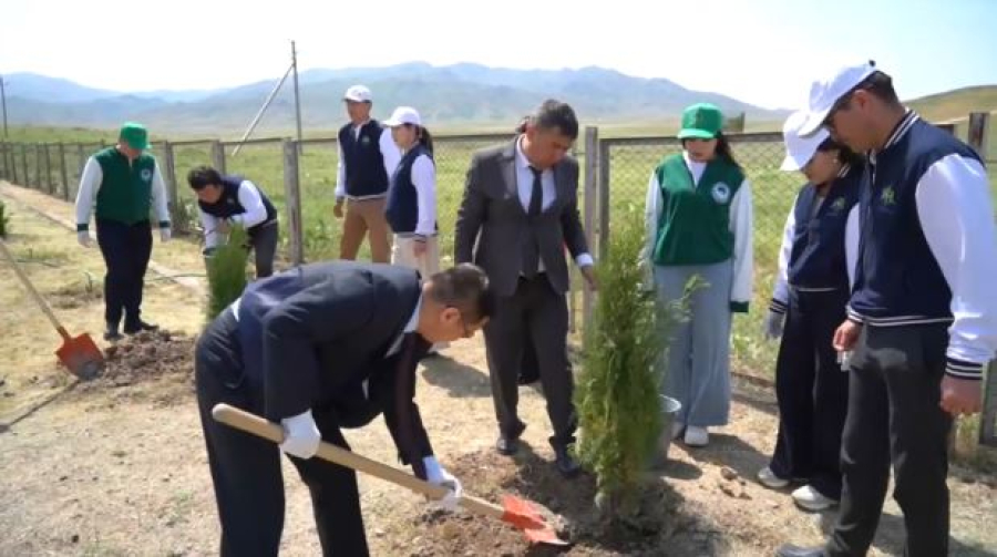 Городище Акыртас очистили от мусора и высадили деревья