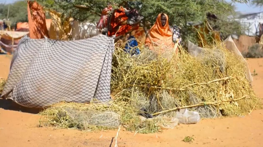 Суданда 14 млн адам көмекке мұқтаж