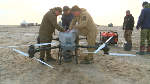 Арал теңізінің табанына агродронмен сексеуіл тұқымы себіліп жатыр