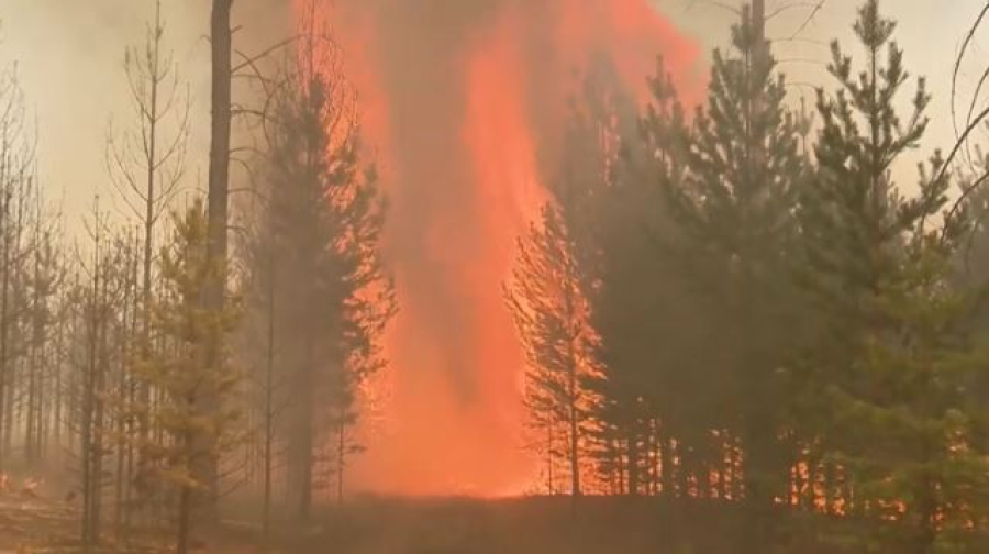Лесные пожары в Бурятии: огнём охвачено почти 14 тысяч га леса