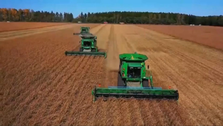 Қытай рекордты көлемде астық жинады