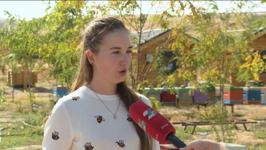 Пчеловоды Шымкента экспортируют мёд в Узбекистан и Китай