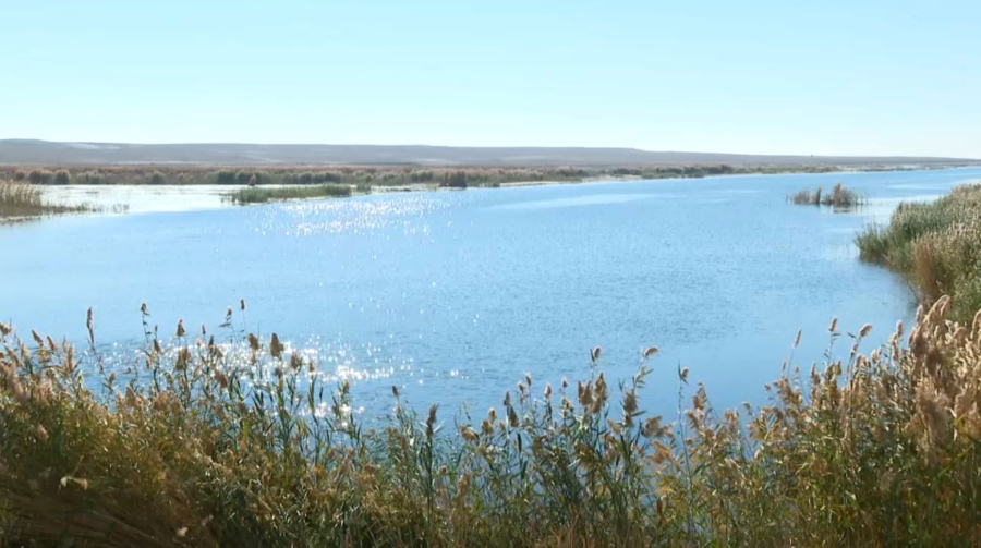 Озеро Камбаш снова наполняется водой в Кызылординской области