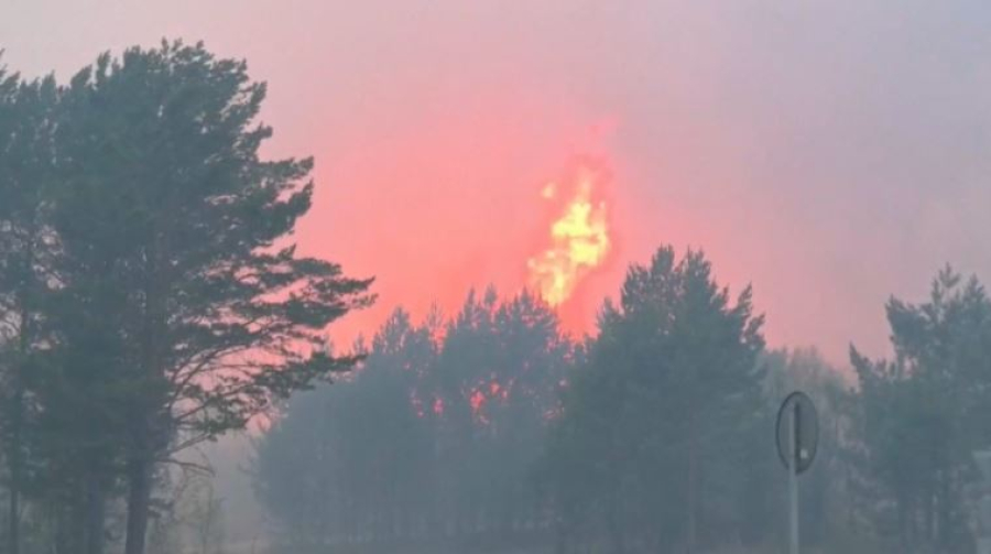 Лесные пожары бушуют на Дальнем Востоке России