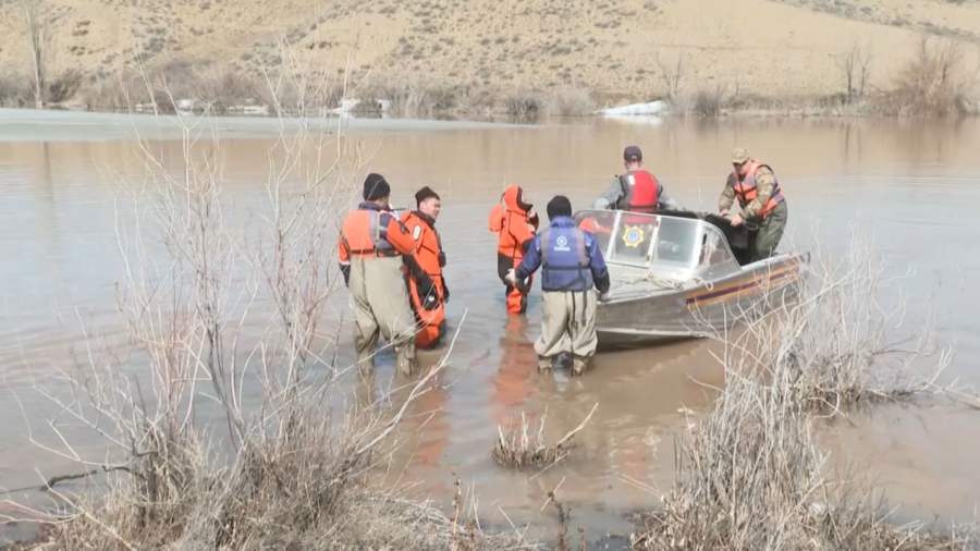 Жезқазған маңынан 345 киіктің өлексесі табылды