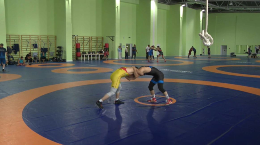 Қазақ балуандары әлем чемпионатына дайындалып жатыр