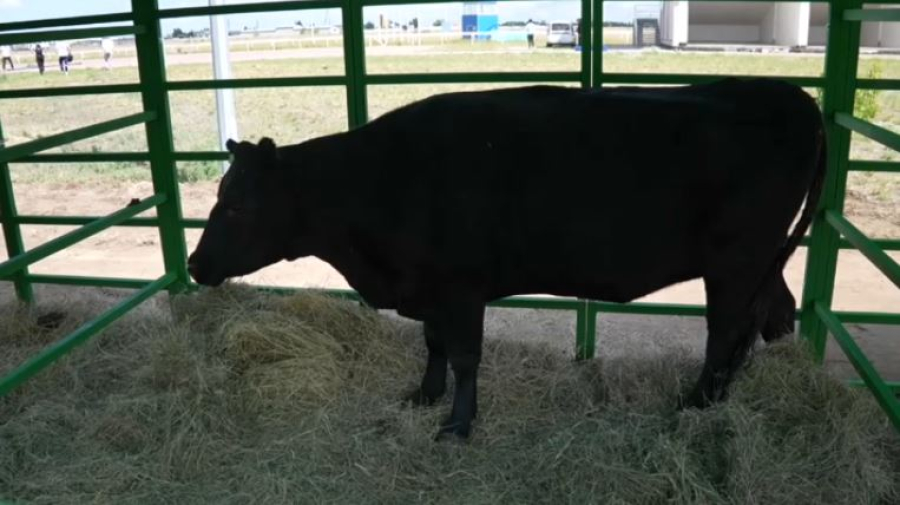 Обсудили вызовы и тренды молочного рынка