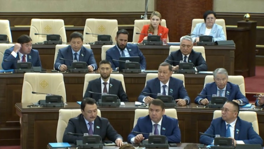 Мажилис принял во втором чтении законопроект о гражданской защите