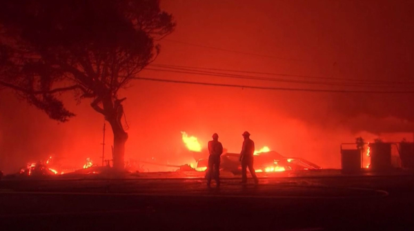 $40 млрд на восстановление штата после лесных пожаров запросили в Калифорнии