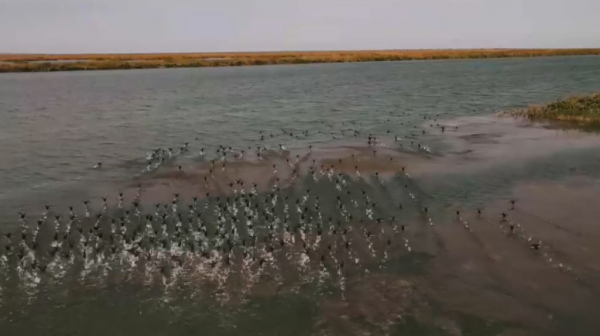 План подачи воды в Аральское море выполнен почти на 100%