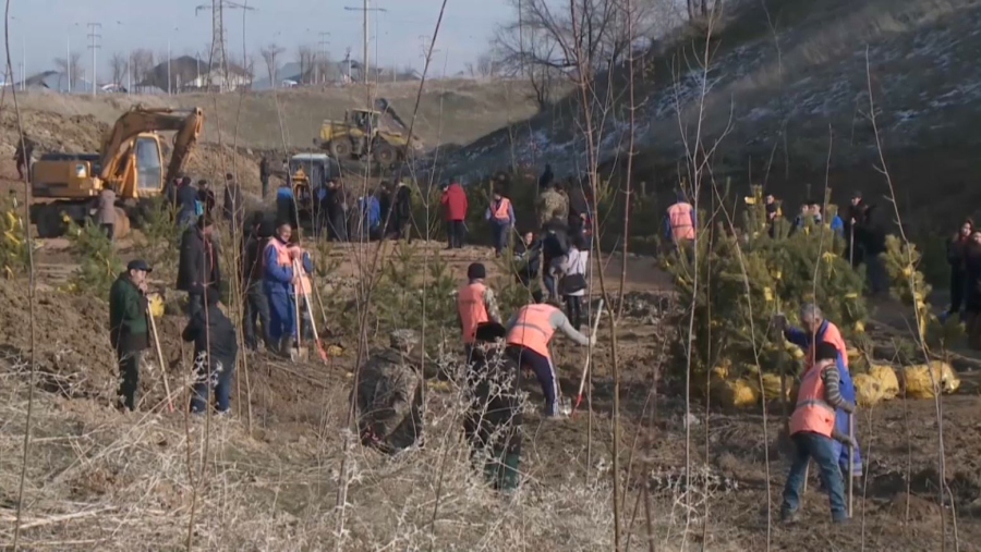 Шымкентте «Самал» шатқалы жалға берілді