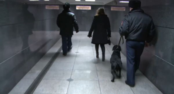 Жамбыл облысында есірткімен ұсталған азамат 10 жылға сотталды