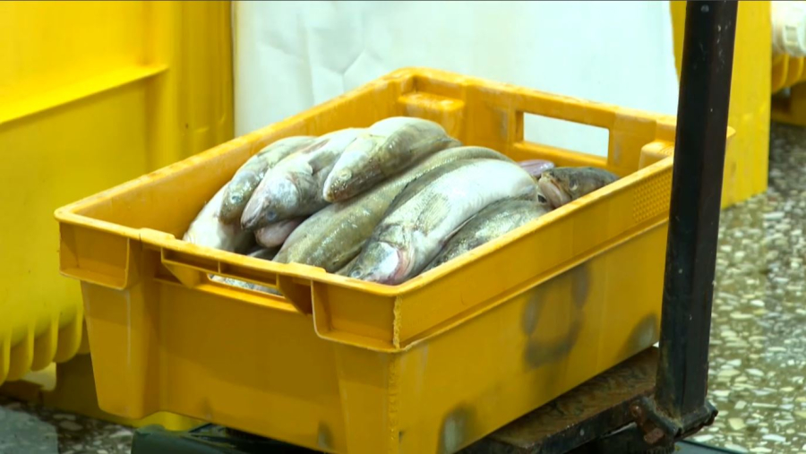 В 13 стран экспортирует рыбу Кызылординская область