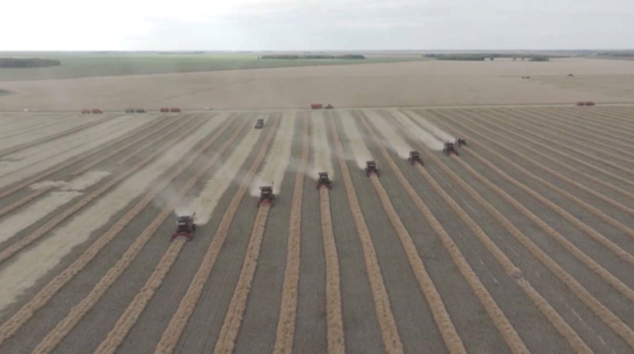 АӨК: рекордтық өнім мен экспорт