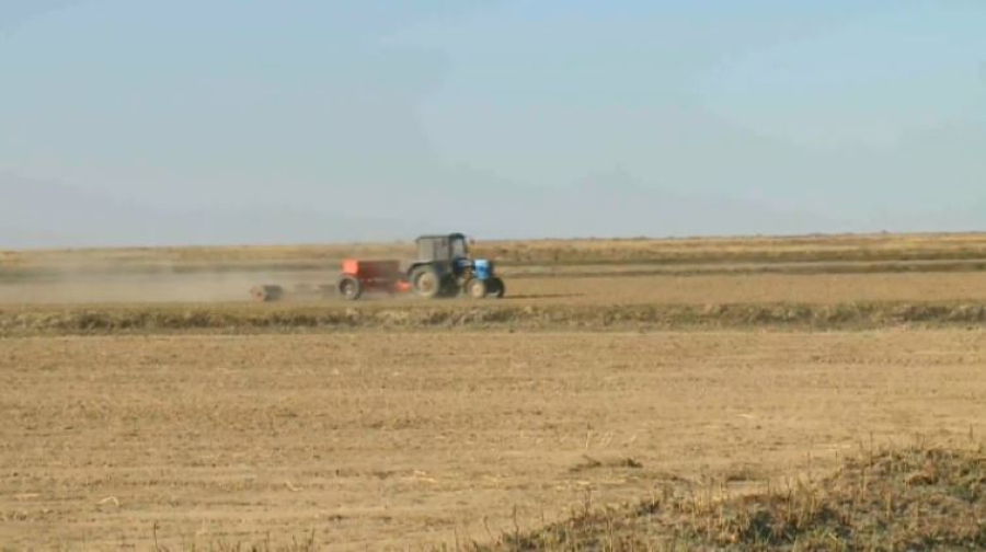 Аграрии получили доступ к раннему финансированию посевной