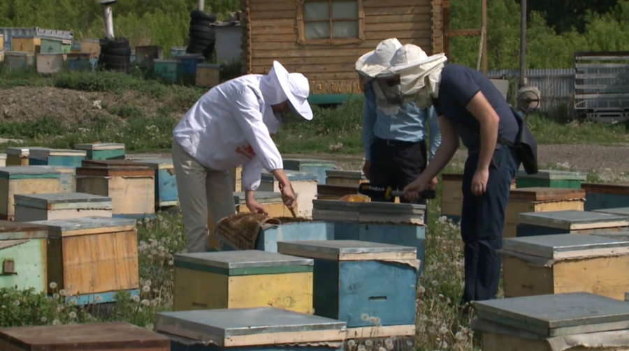 Қазақтың балы енді Еуропа елдеріне экспортталады