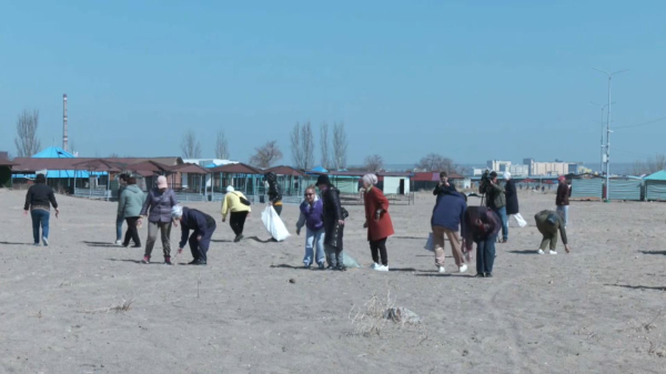 Қонаевтың жағажайынан үш тоннадан астам қоқыс шығарылды