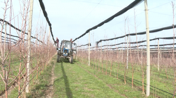 Су қоймасының құрылысы қайта жанданды