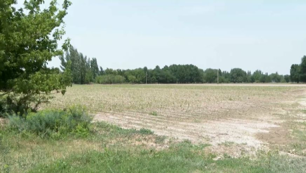 Алматыда заңсыз берілген жерлер мемлекетке қайтарылды