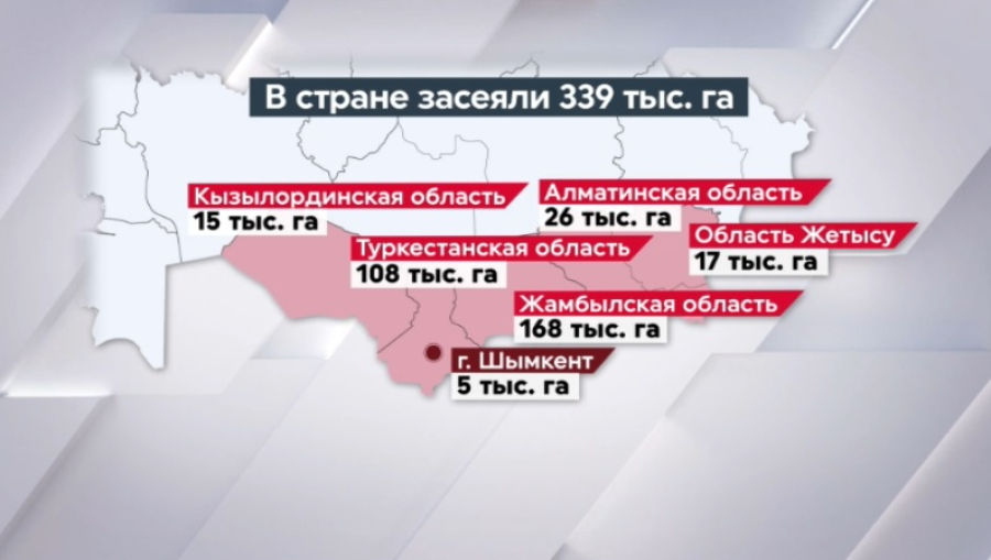 Посевные работы начали в южных регионах Казахстана