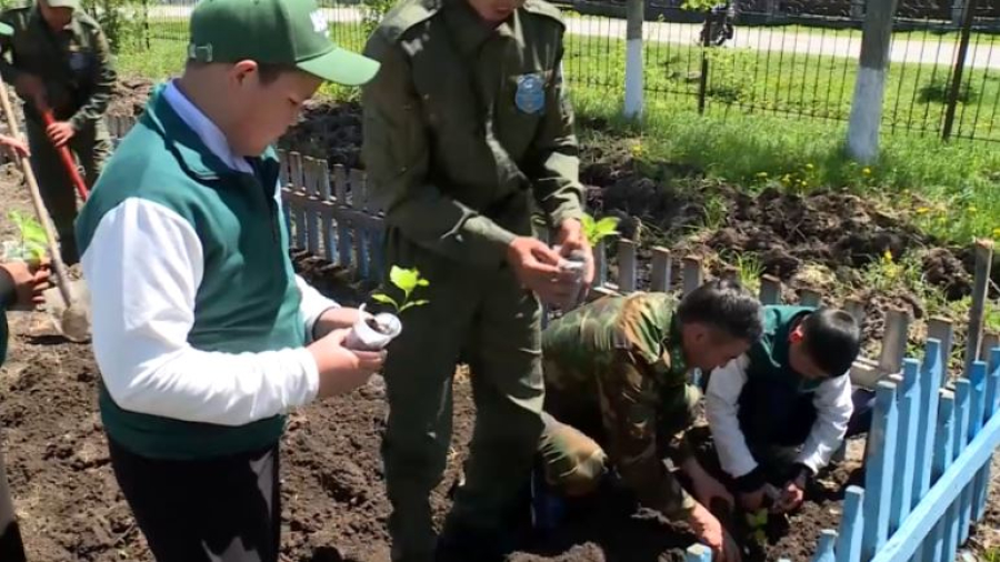 «Таза Қазақстан»: школьники высадили около четырёх тысяч деревьев