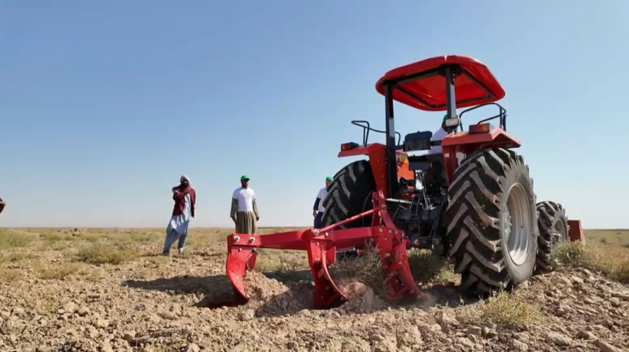 Международный генетический банк семян появится в Казахстане