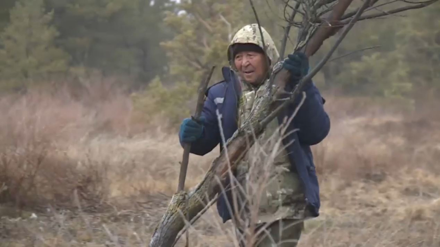 Санитарную очистку лесов проводят в Карагандинской области