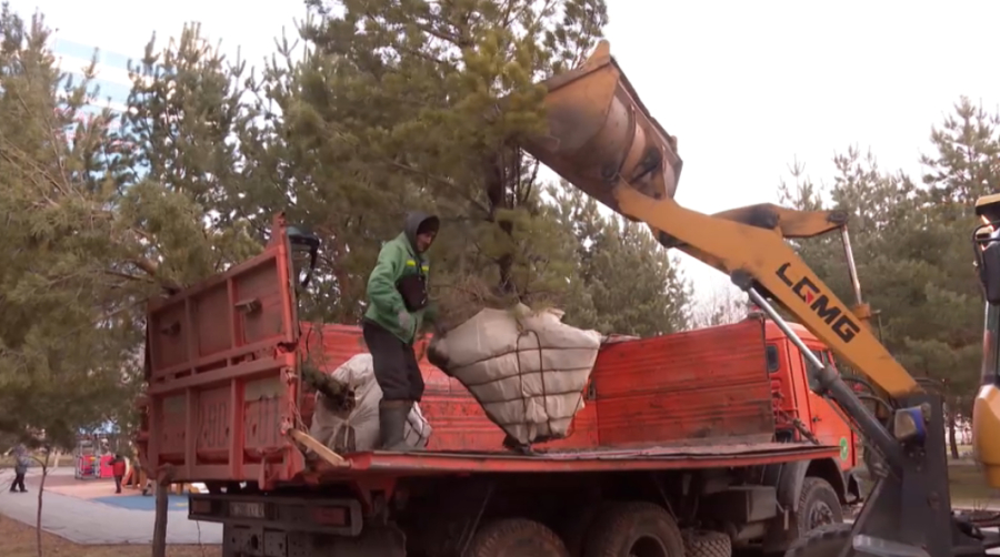«Таза Казакстан»: 1 250 экологических акций провели в Казахстане