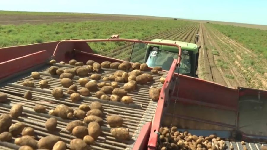 Урожайность в Алматинской области выросла на 15%