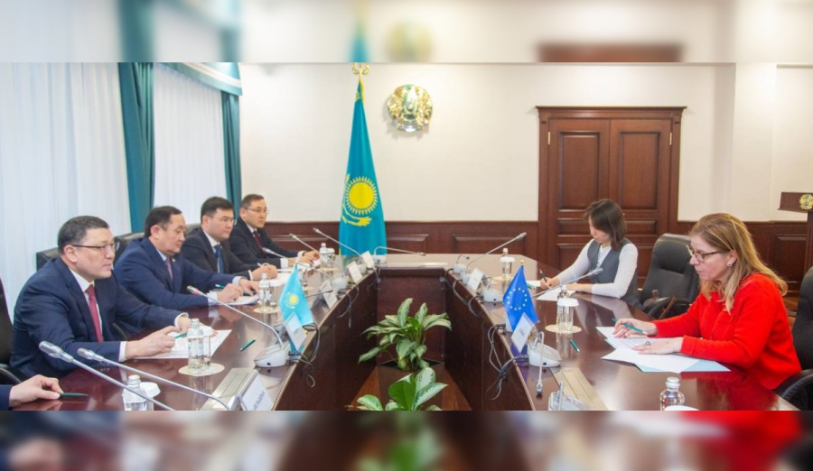 МВД РК и ЕС расширяют сотрудничество в борьбе с киберпреступностью