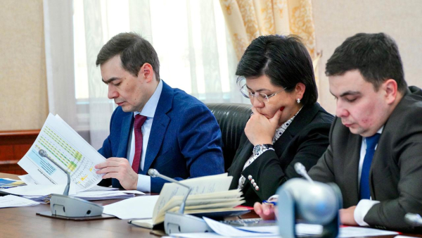 Пять новых заводов по производству автомобилей запустят в Казахстане