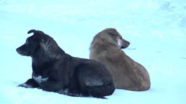 Елордадағы «Өндіріс» алабы тұрғындары алаңдаулы