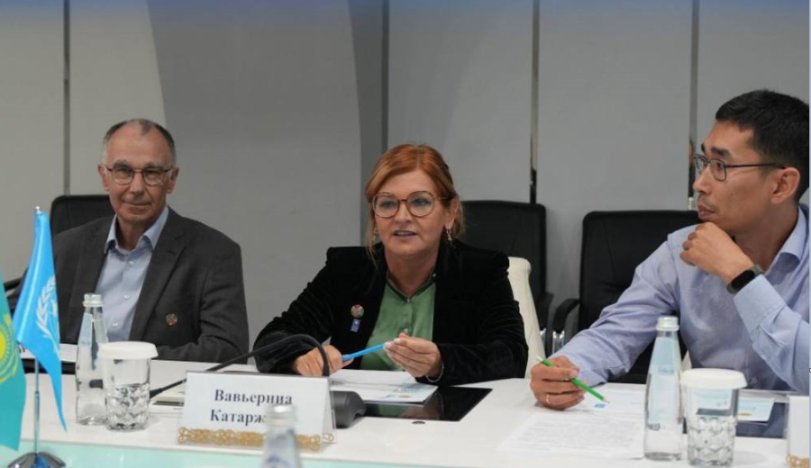 Программа развития ООН примет участие в строительстве водохранилищ в РК