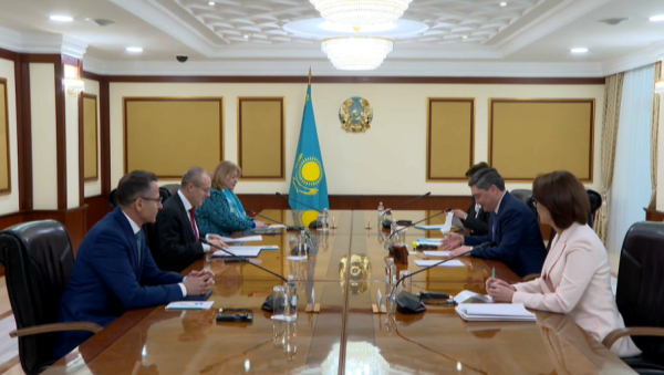 Үкімет басшысы ДДҰ өкілімен кездесті